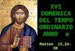 XVI DOMENICA DEL TEMPO ORDINARIO ANNO a Matteo 13,24-30