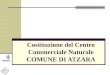 1 Costituzione del Centro Commerciale Naturale COMUNE DI ATZARA