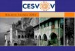 LA STRUTTURA (1) IDENTITA’ Le origini e la storia del CESVOV La missione ed i valori Gli ambiti operativi e la strategia Gli stakeholder Le azioni di