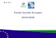 Fondo Sociale Europeo 2014/2020. 1. Programmi comunitari e Fondi (FESR, FSE, FEASR, FEAMP, Fondo di Coesione) per programmi nazionali e regionali + cicli