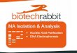 Che cosa offre biotechrabbit ? Prodotti per l’isolamento degli Adici Nucleici (DNA – RNA)