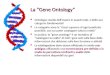 La “Gene Ontology” Ontologia: studio dell’essere in quanto tale, e delle sue categorie fondamentali Ontologia: studio dell’essere in quanto tale, e delle