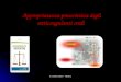 Dr. Oreste Urbano - Messina. 2008 Evoluzione dei farmaci anticoagulanti ATIII + Xa + IIa (Rapporto 1:1 )  Eparina 1930s ATIII + Xa 2002 IIa 2004 ATIII