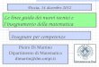 Le linee guida dei nuovi tecnici e l’insegnamento della matematica Pescia, 14 dicembre 2012 Pietro Di Martino Dipartimento di Matematica dimartin@dm.unipi.it