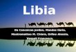 Libia Da Conceicao Jordan, Mandas Ilaria, Mastromatteo M. Chiara, Orfino Alessia, Vespoli Francesca