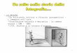 LE ORIGINI Da Aristotele (ottica) a Vitruvio (prospettiva) – L’immagine nell’arte Osservazione naturale e meccanica : la camera oscura (‘500 – ‘600) 1725,