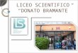 LICEO SCIENTIFICO “DONATO BRAMANTE”. PIANI DI STUDIO