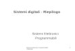 Sistemi Elettronici Programmabili: Riepilogo 1 Sistemi digitali : Riepilogo Sistemi Elettronici Programmabili