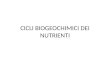 CICLI BIOGEOCHIMICI DEI NUTRIENTI. Porzione disponibile per l’Ecosistema Produttori primari ConsumatoriDecompositori Serbatoio ambientale del nutriente