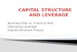 Anıl Sural - Capital Structure and Leverage