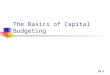Cap budget [autosaved]
