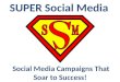 Super Social Media: Social Media Campaigns That Soar To Success