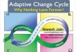 Adaptive Change Cycle Applied to Agile Methods
