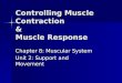 Controlling muscle contraction