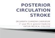 Posterior circulation stroke