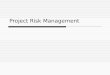 Project Risk Management 2 2