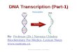 DNA Transcription- Part-1