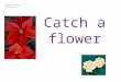 Catch a flower