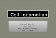 Cell locomotion