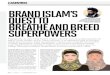 Muslim Economies, Islamic Economies and Brand Islam