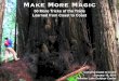 Make More Magic at NEYCC