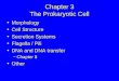 Lectures%209%20 %2010%20 the%20prokaryotic%20cell