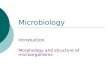 Bohomolets Microbiology Lecture#1