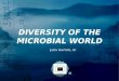Diversity of the microbial world 2008 2009