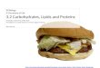 IB Biology Core 3.2: Carbohydrates Lipids and Proteins
