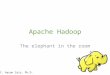 Hadoop: The elephant in the room
