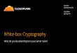 White-box Cryptography -BayThreat 2013