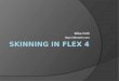 Flex 4 Skinning - Nashville Flex Camp