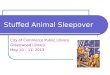 2013 Stuffed Animal Sleepover