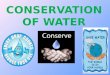 Conservation of water ( Eco Club'13)