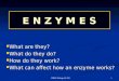 Enzymes for S4 2011-IGCSE LEVEL