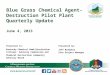 Blue Grass Chemical Agent-Destruction Pilot Plant Quarterly Update June 4, 2013 Version2