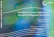 The role of CCS in mitigation scenarios - Ellina Levina, IEA