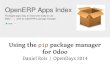 Using the "pip" package manager for Odoo/OpenERP - Opendays 2014