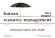 Hrm10 ppt16 (gary dessler - human resource management)