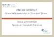 Are We Sinking?: Financial Leadership for Turbulent Times
