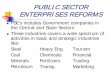 Public sector enterprises reforms (2)