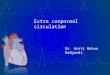 Extracorporeal circulation - CPB, ECMO