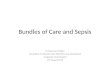 Care Bundles in Sepsis