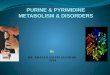 Purine & pyrimidine metabolism and disorders