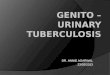 Genito urinary tuberculosis