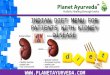CKD (Chronic kidney disease)- Indian diet & Ayurvedic treatment