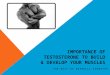 Importance of Testosterone to Build & Develop Your Muscles