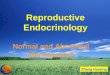 26.2008 Reproductive Endocrinology