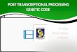 Post transcriptional processing ppt BIOCHEMISTRY