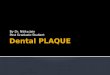 Dental plaque 2
